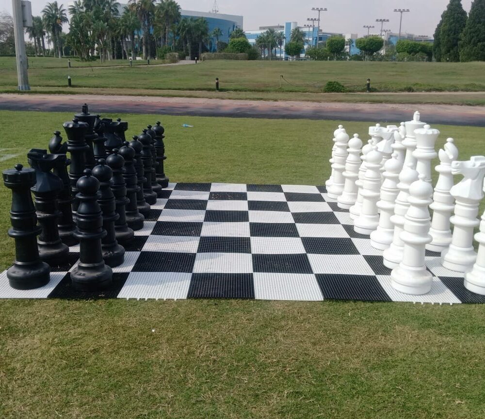 Giant Chess 1